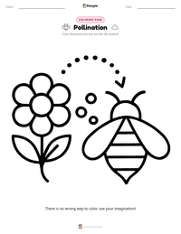 Pollination coloring page for kids