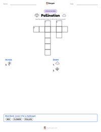 Pollination printable worksheet preview