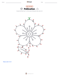 Pollination printable worksheet preview