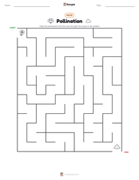 Pollination printable worksheet preview