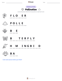 Pollination printable worksheet preview