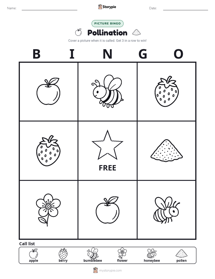 Picture Bingo