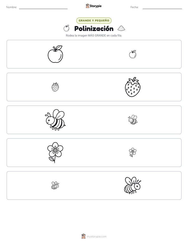 Clasificación