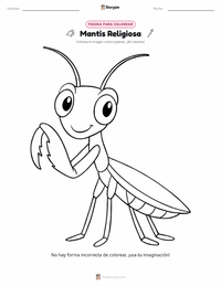 Página para colorear de Mantis Religiosa para niños