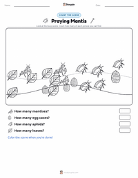 Praying Mantis printable worksheet preview