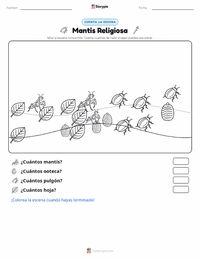 Vista previa de la hoja de trabajo imprimible de Mantis Religiosa