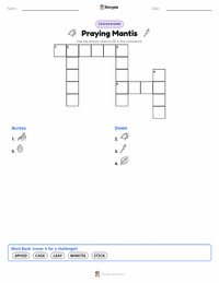 Praying Mantis printable worksheet preview