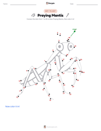 Praying Mantis printable worksheet preview