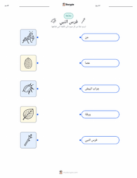 ورقة عمل قابلة للطباعة فرس النبي للأطفال
