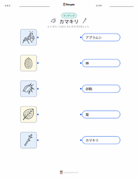 カマキリ の子供向け印刷可能ワークシート