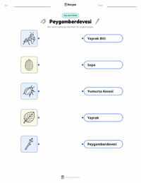 Peygamberdevesi çocuklar için yazdırılabilir çalışma sayfası