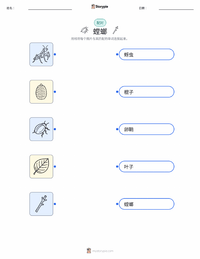 螳螂 可打印工作表，适合儿童