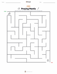 Praying Mantis printable worksheet preview