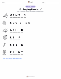 Praying Mantis printable worksheet preview