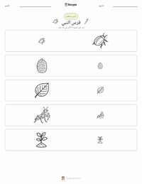 معاينة ورقة العمل القابلة للطباعة فرس النبي