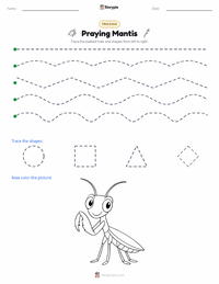 Praying Mantis printable worksheet preview