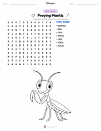 Praying Mantis printable worksheet preview