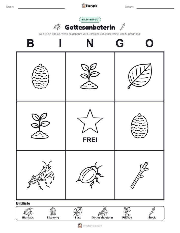 Bild-Bingo