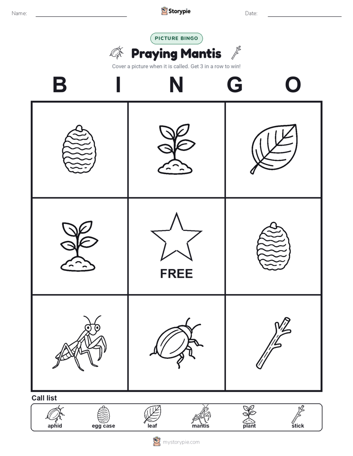 Picture Bingo