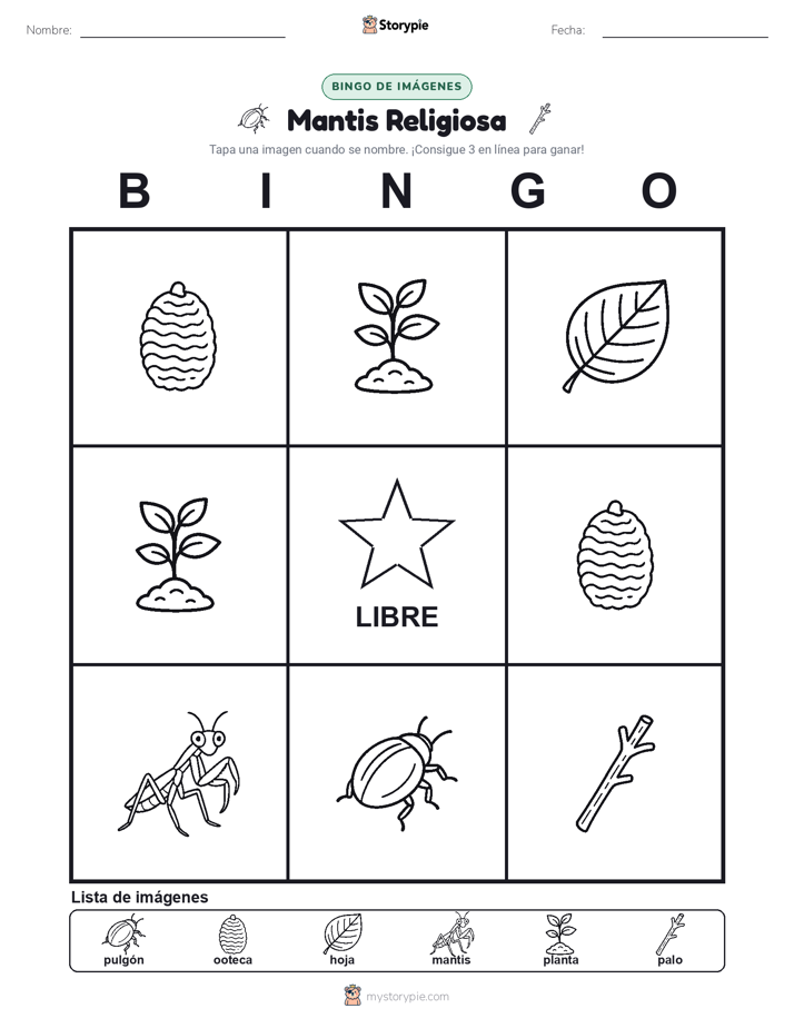 Bingo de Imágenes