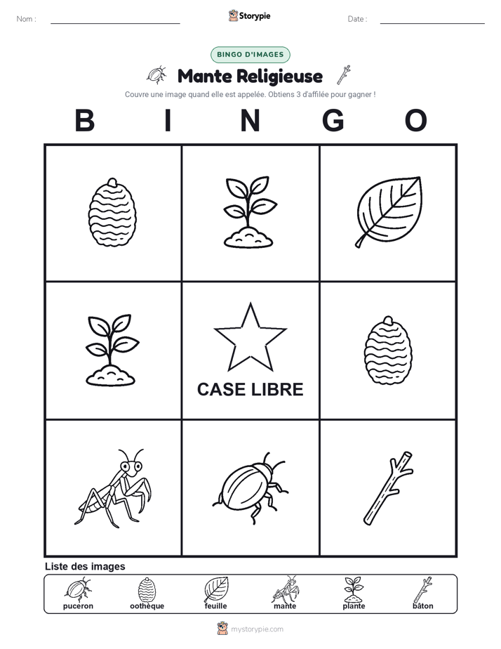 Bingo d'Images