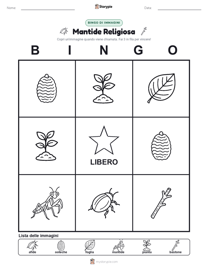 Bingo delle Immagini
