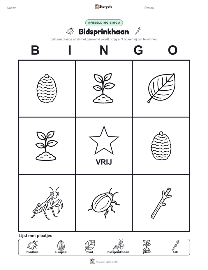 Afbeelding Bingo