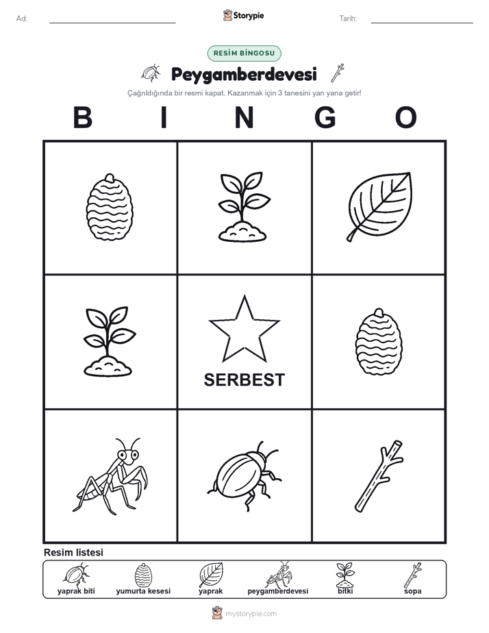 Resim Bingo