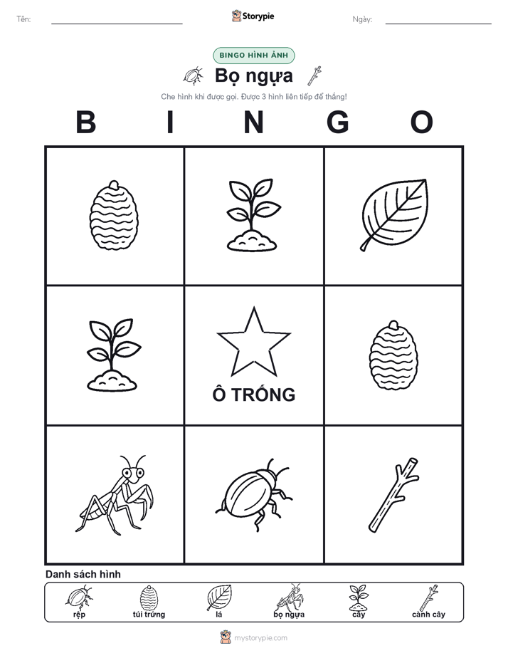 Bingo Hình Ảnh