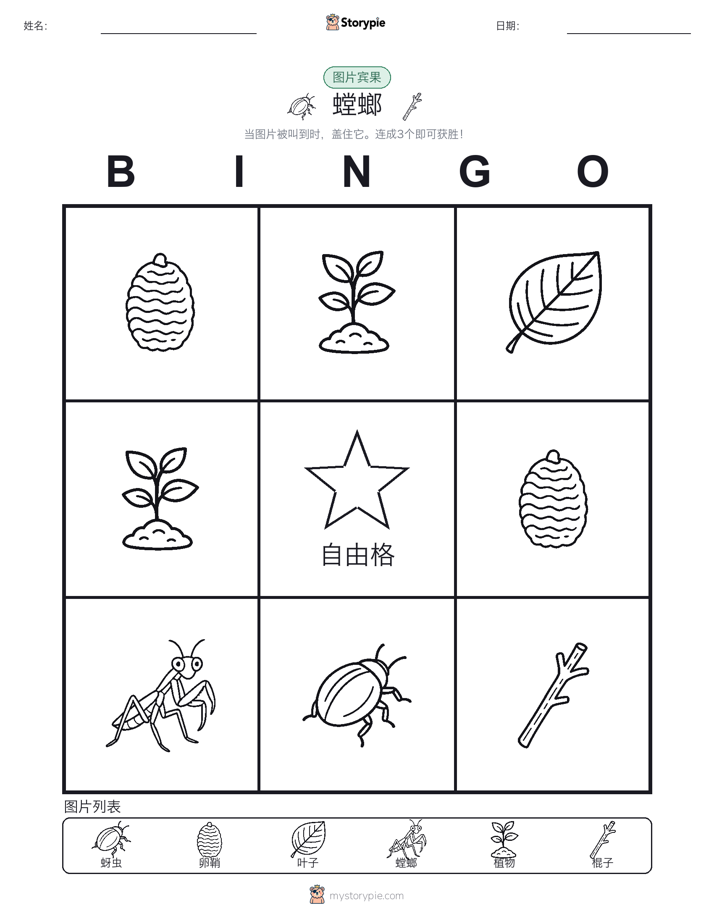 图片宾果