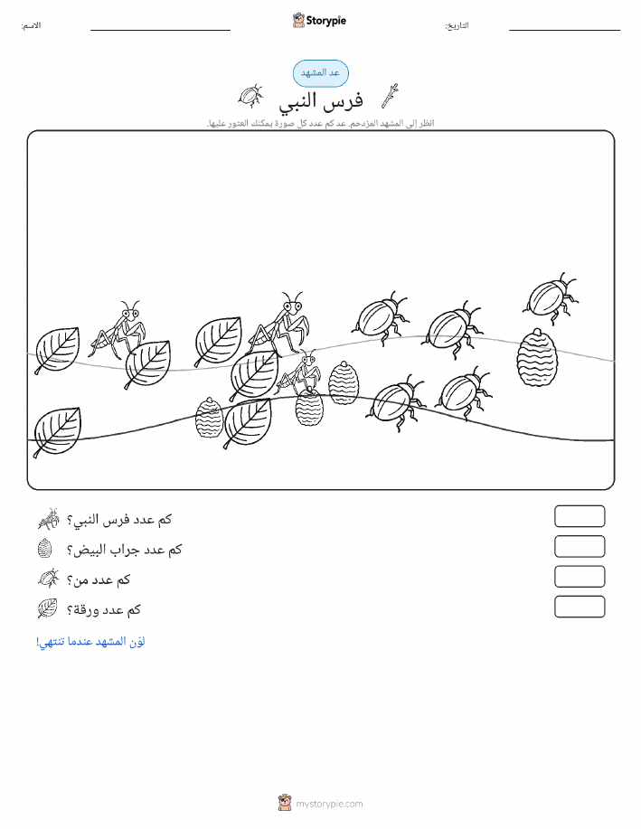 مشهد العد