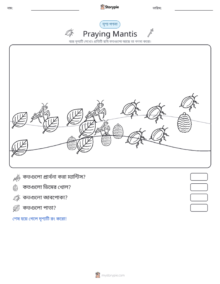 গণনা দৃশ্য