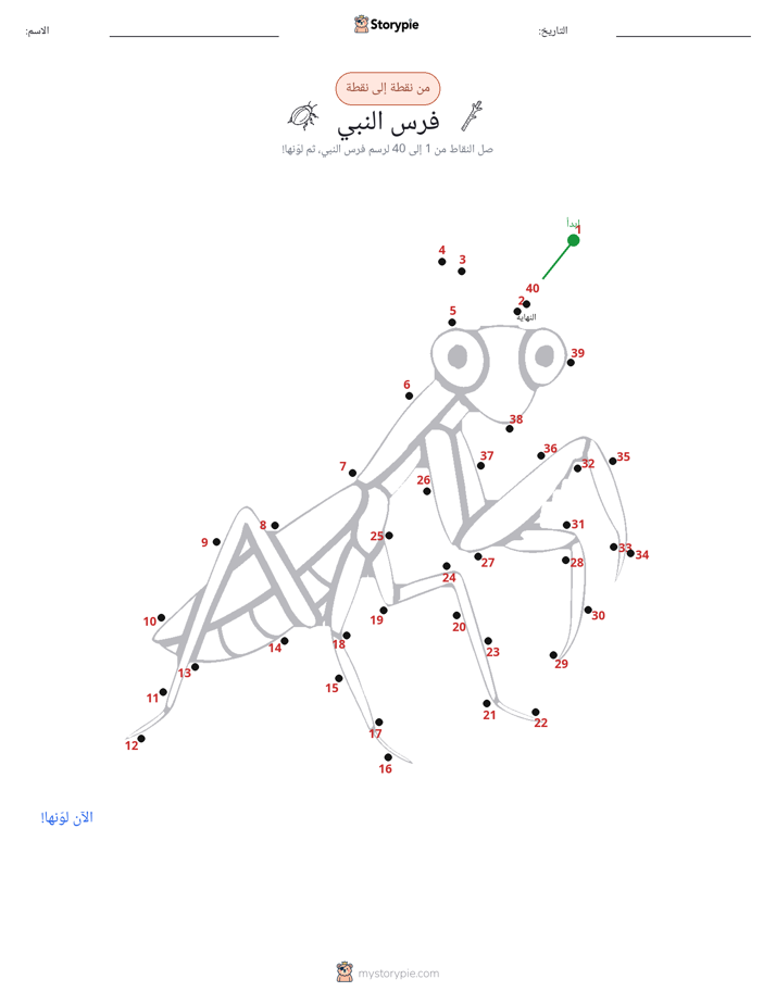 نقطة إلى نقطة