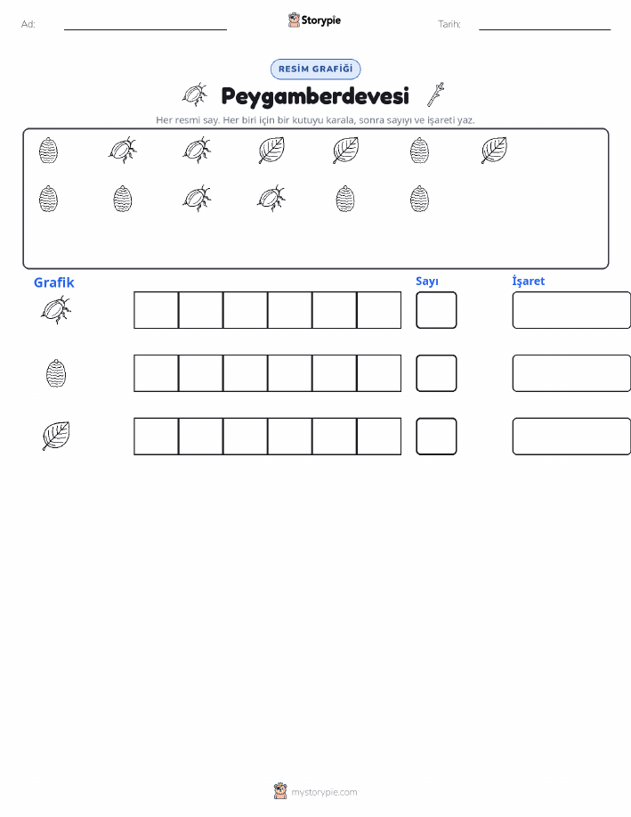 Say & Grafik