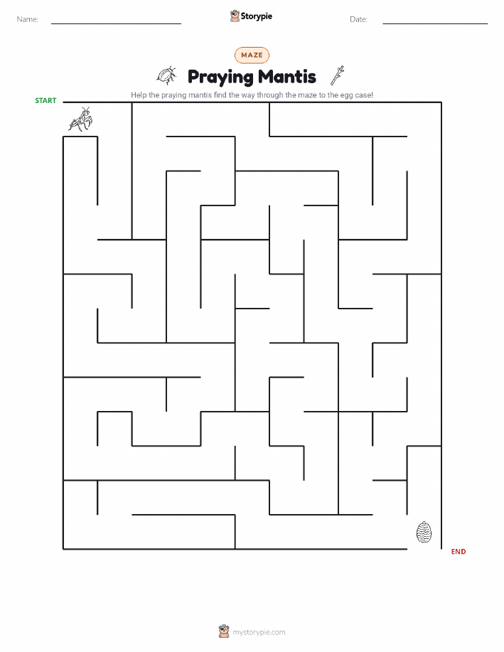 Maze