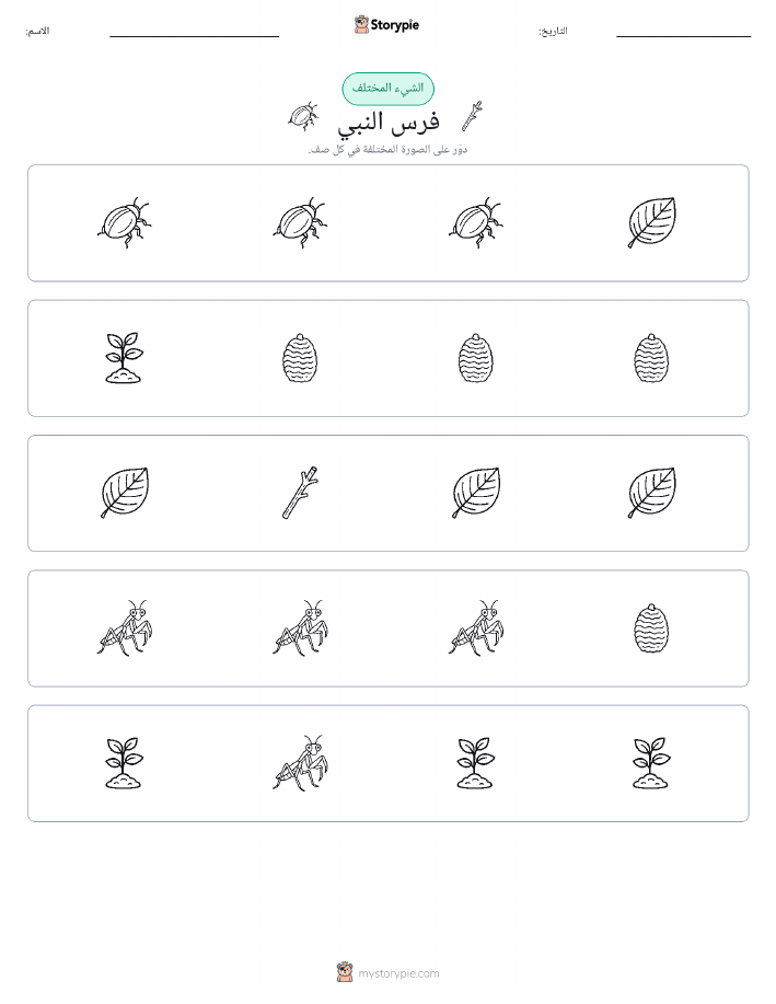 الغريب