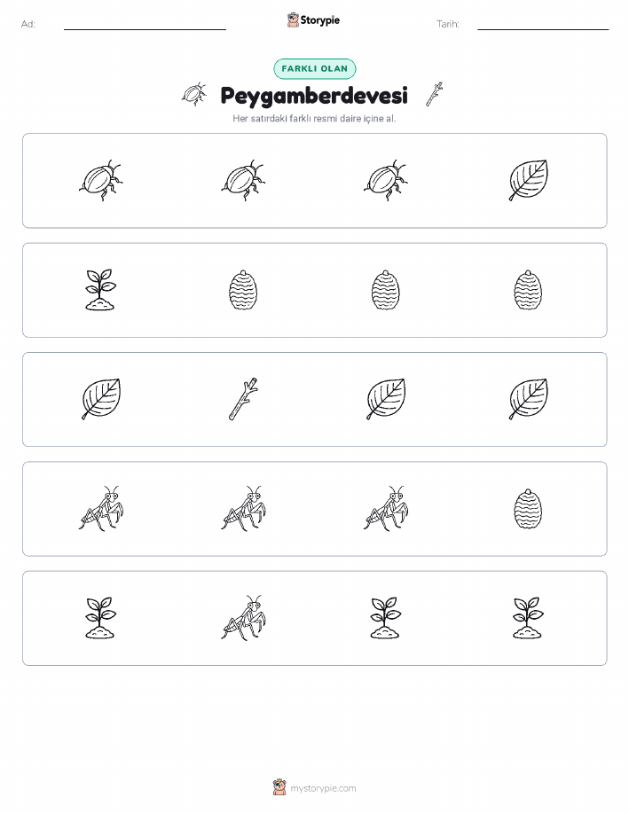 Farklı Olanı Bul