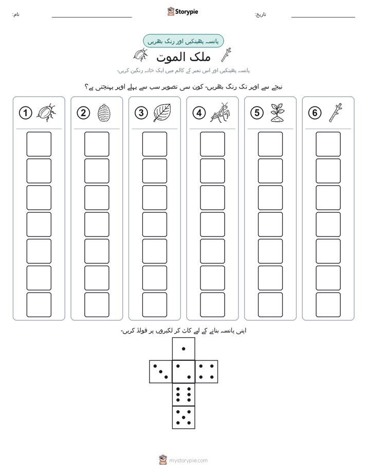 رول اور رنگ
