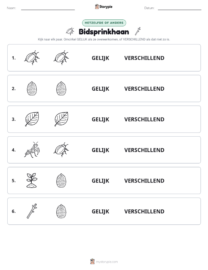 Zelfde of Verschillend