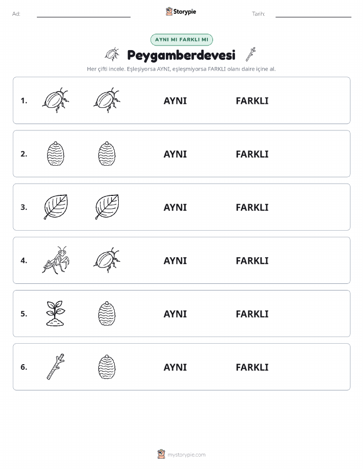 Aynı mı Farklı mı