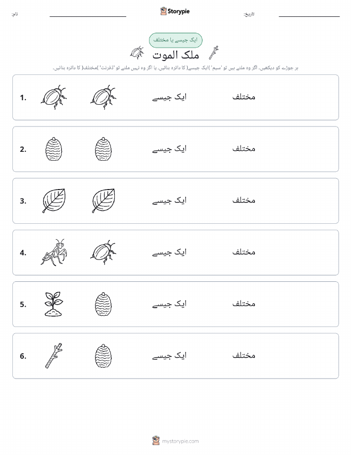 ایک جیسا یا مختلف