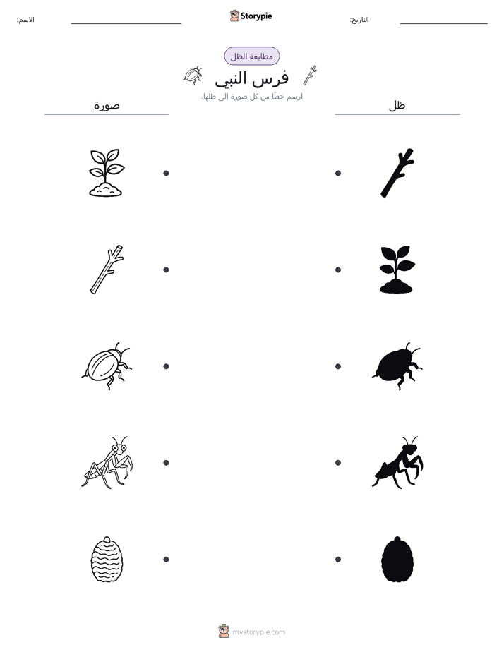 مطابقة الظل