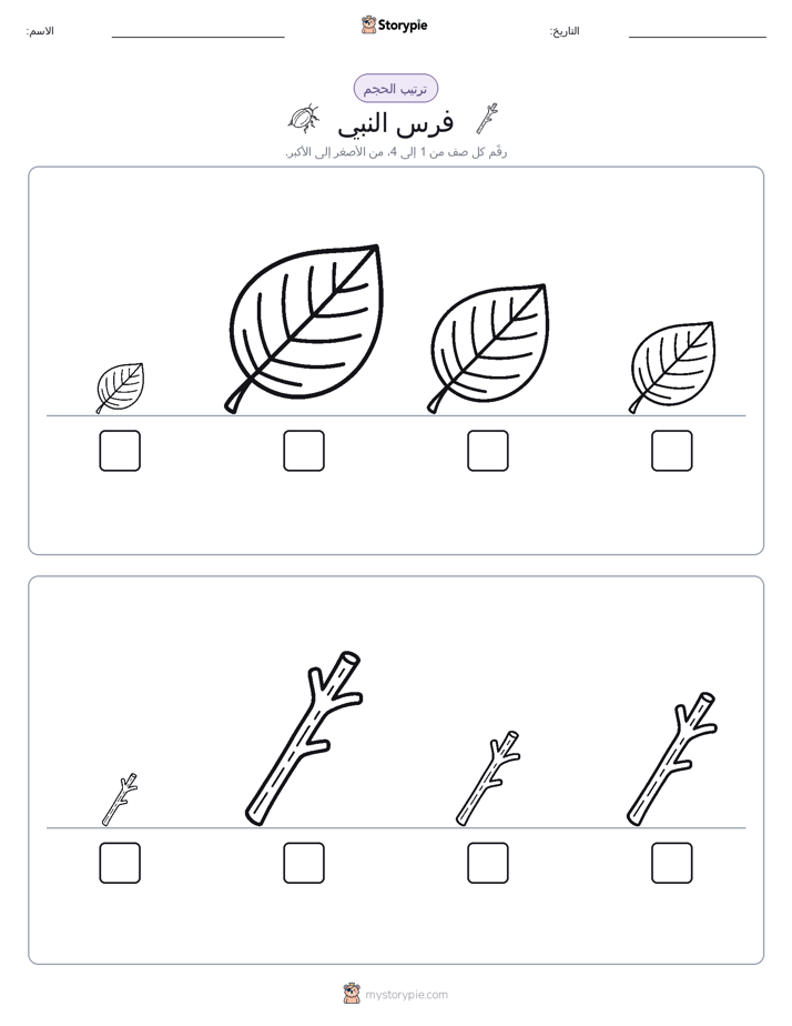 ترتيب الحجم