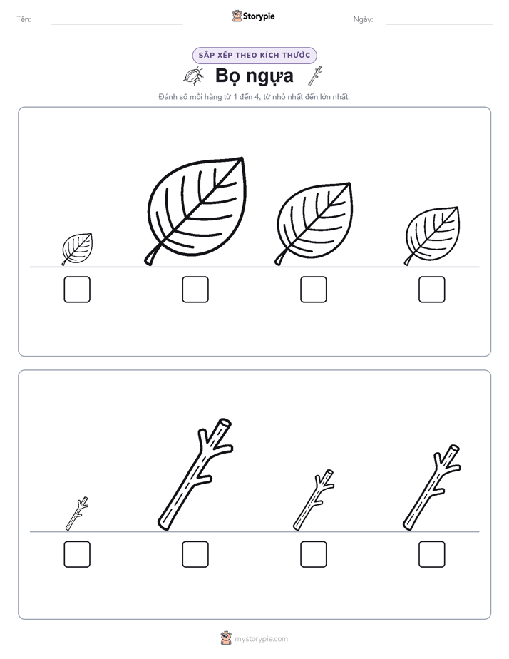 Thứ Tự Kích Thước