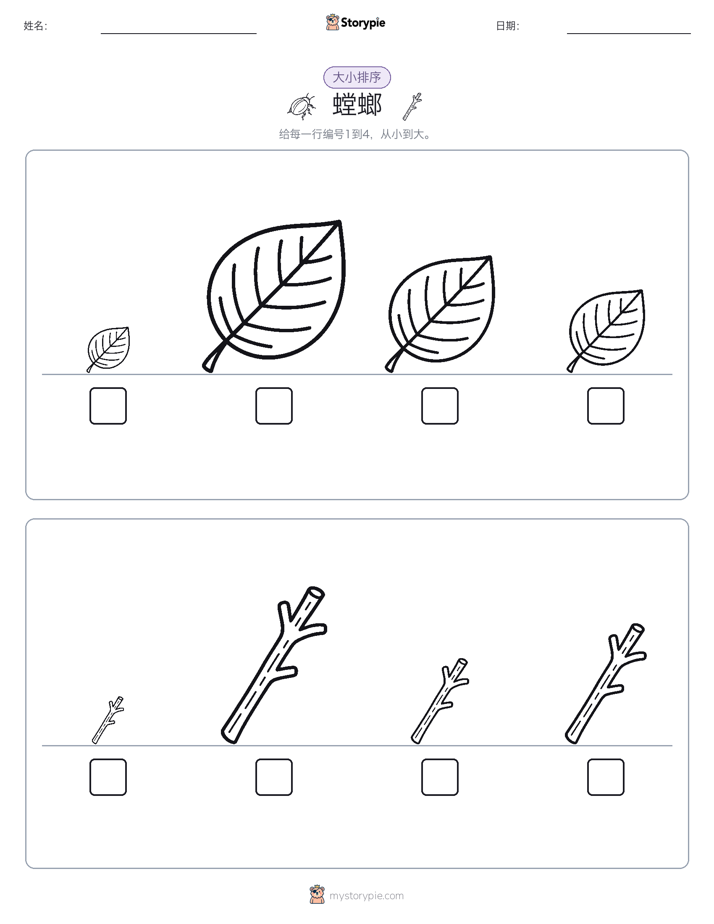 大小排序