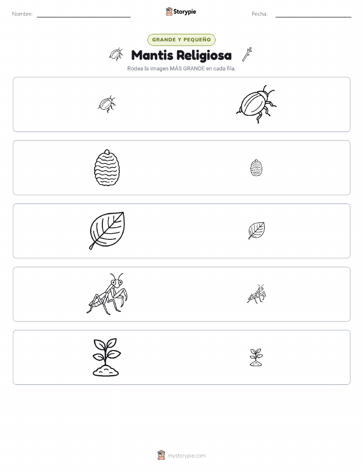 Clasificación