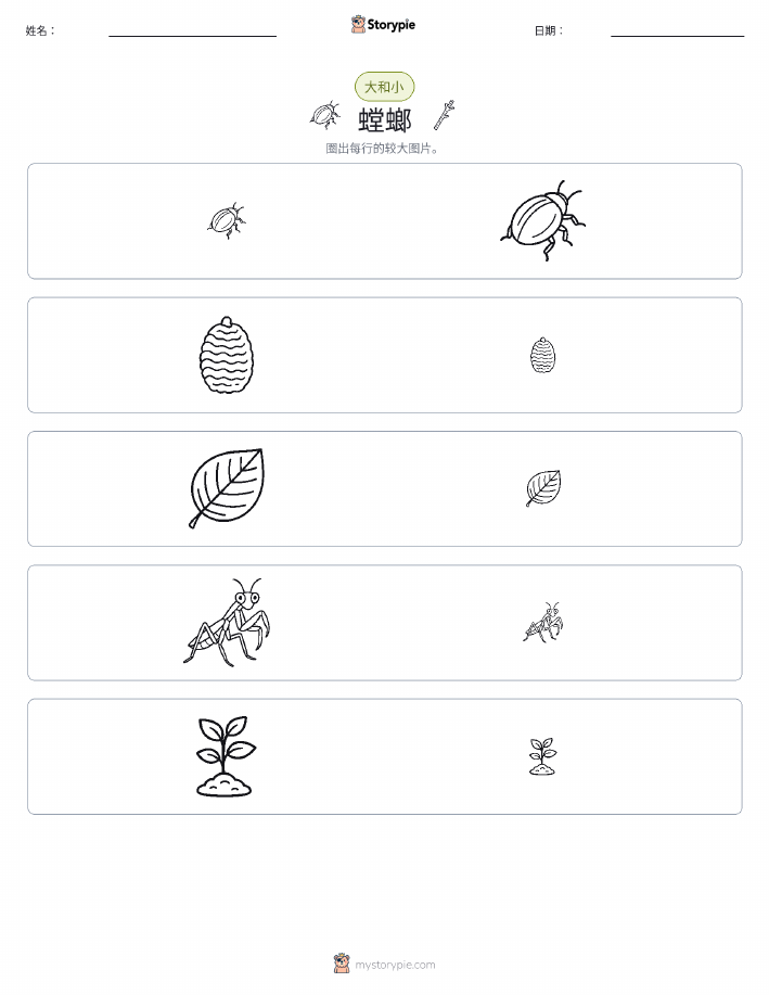 分类