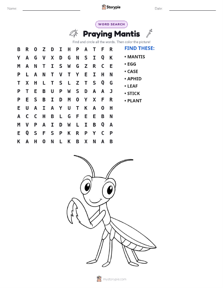 Word Search