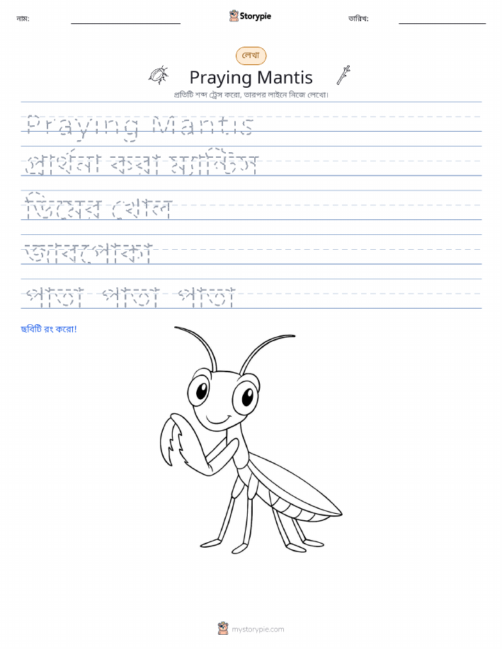 লেখার অনুশীলন