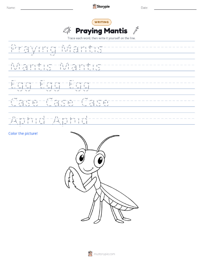 Writing Practice
